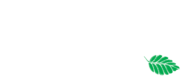 Treetop Enterprise Inc.